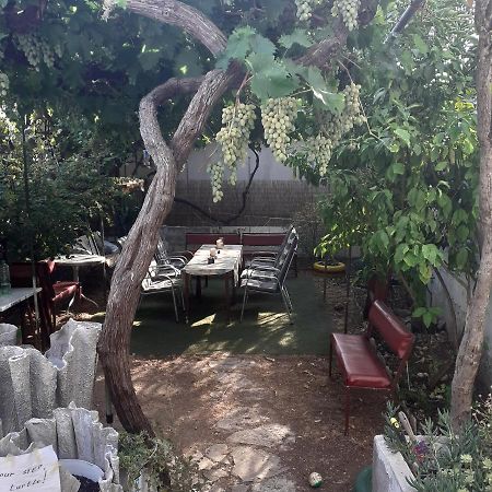 Apartmani Damir Kazija Pakostane Bagian luar foto